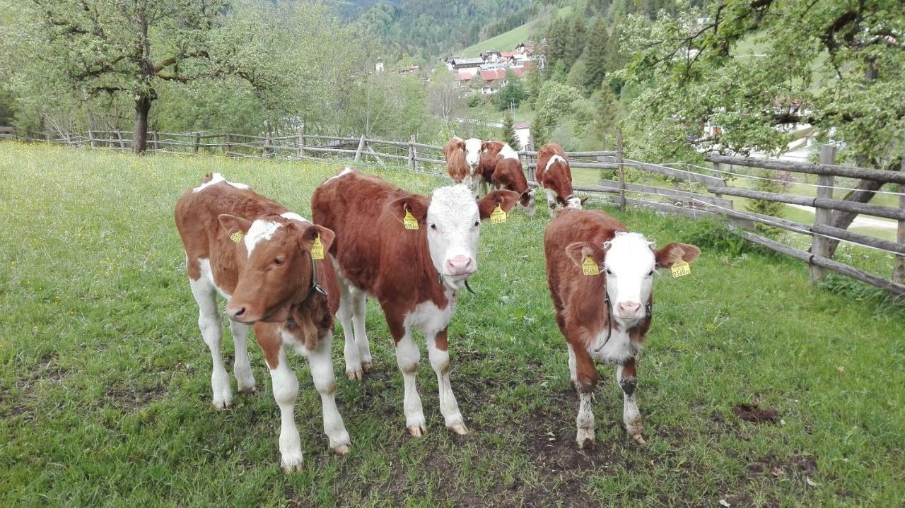 Bio-Bauernhof "Hecherhof" 티어제 외부 사진