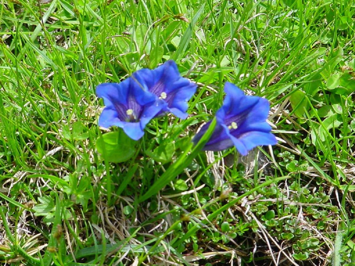 Bio-Bauernhof "Hecherhof" 티어제 외부 사진